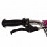 Самокат iTrike  SR 2-047-P двухколесный. Колеса резиновые 12". Ручные тормоза  V-brake на переднем колесе. Розовый (SR 2-047-P-А)
